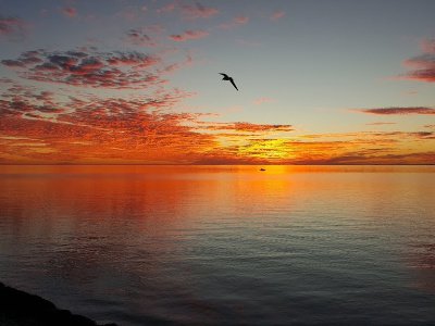 Things To Do Bird Island Basin